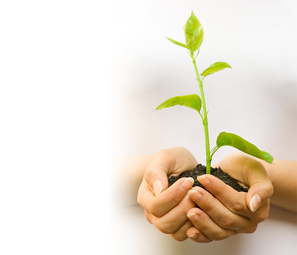 Growing IRA savings represented by stacked coins and investment growth chart